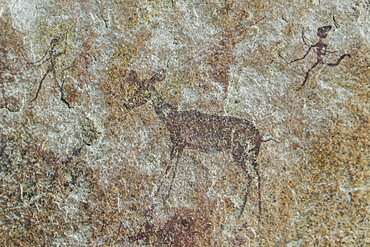 Gobabis Rock Art by the San Bushmen, Ghoha Hills or Bushman Hill, about 5,000 years old, Savuti, Chobe National Park, Chobe District, Botswana, Africa