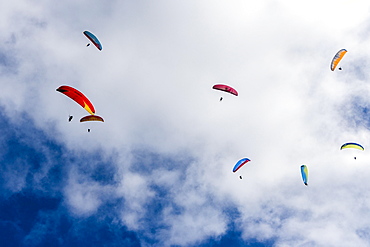 Many paragliders are flying in the air, over Pokhara and Phewa Lake, Sarangkot, Kaski District, Nepal, Asia