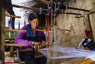 Native woman weaving material on loom, open air, Jhong, Mustang District, Nepal, Asia