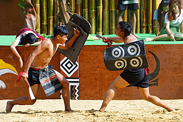 Tribal ritual dance at the Hornbill Festival, Kohima, Nagaland, India, Asia