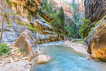 Hikers in river, The Narrows, Virgin River, steep walls, Zion Canyon, Zion National Park, Utah, USA, North America