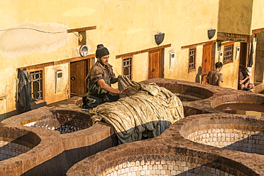 Leather tanners on tanks with paint for dyeing leather, dyeing, tannery Tannerie Chouara, tanner and dyeing district Fes el Bali, Fez, Morocco, Africa