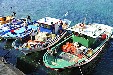 Port with fishing boats, Gallipoli, Apulia, Italy, Europe