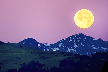 Big full moon over the Swiss Alps, pink sky, Flims, Canton of Grisons, Switzerland, Europe