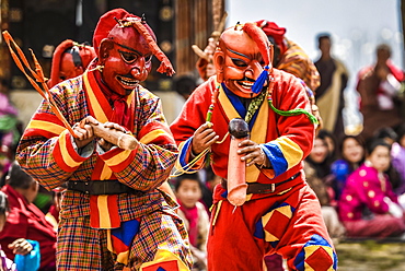 Fools, jesters with phallus symbol at the mask dance, religious Tsechu monastery festival, Gasa district Tshechu Festival, Gasa, Himalaya region, Kingdom of Bhutan