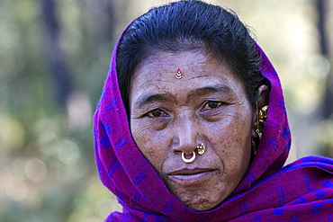 Nepalese woman with earrings and nose piercing, portrait, with Nargakot, Nepal, Asia