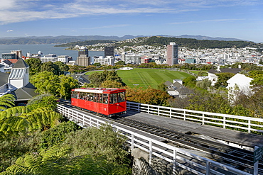 Wellington Cable Car on railway track, funicular railway, harbour and city center behind, Wellinton, New Zealand, Oceania