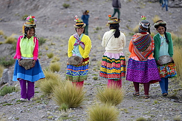 Young women carrying heavy stones to secure the shores of an artificial lake for irrigation, Quispillacta, Ayacucho, Peru, South America