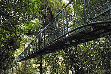 Suspension bridge in a cloud forest, Selvatura Park, Monteverde, province of Alajuela, Costa Rica, Central America