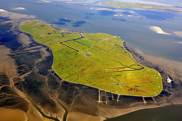 Aerial view, Hallig Hooge, Hooge holm in the Wadden Sea, North Sea, North Frisia, Schleswig-Holstein, Germany, Europe