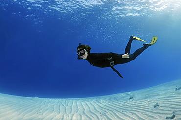 Freediver diving above a sandy bottom, Red Sea, Egypt, Africa