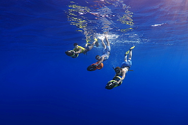 Freedivers with underwater scooters, Red Sea, Egypt, Africa