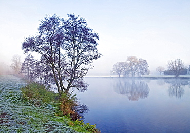 The Ruhr river at dawn in autumn, Witten, Ruhr Area, North Rhine-Westphalia, Germany, Europe