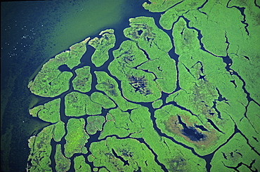 Aerial view, islands in the Bodden lagoon, Kirr, Mecklenburg-Western Pomerania, Germany, Europe