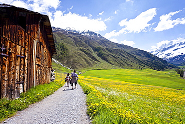 Hikers at Weiler Melag in Vallelunga in Alta Val Venosta, Langtauferer Valley, Alto Adige, Italy, Europe