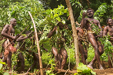 Men of the Sa people dancing at the Land diving ceremony, Pentecost Island, Vanuatu, Oceania