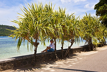 Palm trees with aerial roots at Anse L'Islette, Mahe Island, Seychelles, Indian Ocean, Africa