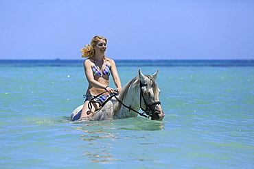 Woman wearing a bikini riding a Barb horse in the sea, riding vacation, Djerba, Tunisia, Africa