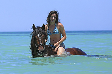 Woman wearing a bikini riding a Barb horse in the sea, riding vacation, Djerba, Tunisia, Africa