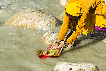 A female pilgrim at the banks of the river Ganges is praying, offering personal belongings to the holy water, Gangotri, Uttarakhand, India, Asia