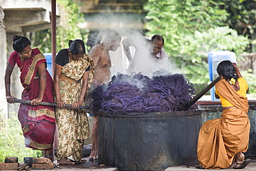 Dyeing of ropes made of coconut fibres or coir, coconut fibre industry, factory, Alappuzha, Kerala, India, Asia