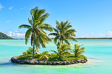 Palm trees on a small South Seas island, Bora Bora, French Polynesia, Oceania