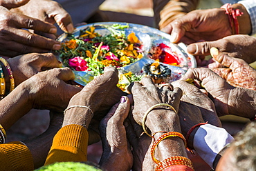 Many hands are holding a plate, pilgrims performing Ganga Pooja, a religious ceremony, Gangotri, Uttarakhand, India, Asia