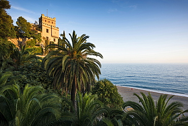 Villa with palm trees by the sea, Finale Ligure, Riviera di Ponente, Liguria, Italy, Europe