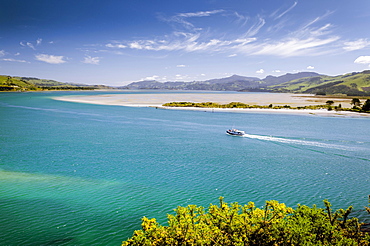 Boat crossing Hoopers Inlet, Otago Region, South Island, New Zealand, Oceania