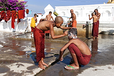 Novice monks during the morning bath with a shaving of the head in the Shwe Yaunghwe Kyaung Monastery, near Nyaungshwe, Shan State, Inle Lake, Myanmar, Asia