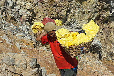 Sulphur carrier climbing out of Kawah Ijen volcano, Ijen crater, Banyuwangi, East Java, Indonesia, Asia