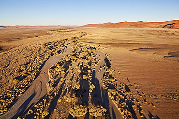 Namib, aerial view, Namib-Naukluft National Park, Namibia, Africa