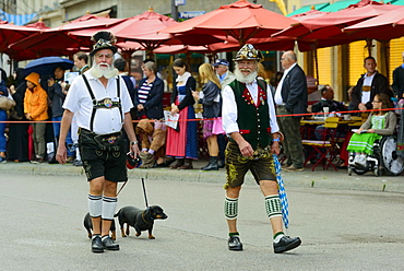 Two Munich men in traditional costume with a Dachshund, Oktoberfest Costume and Riflemen's Parade, Munich, Upper Bavaria, Bavaria, Germany, Europe