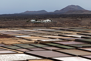 Sea salt production, salt pans, Salinas de Janubio, Lanzarote, Canary Islands, Spain, Europe