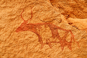 Neolithic rock art, rock painting of a cow or bull, Bovidian period, Tassili n'Ajjer National Park, Unesco World Heritage Site, Algeria, Africa