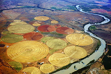 Circular fields on the Orange River, irrigation of large areas in the Karoo Desert, Gariepdam, Free State Province, South Africa, Africa