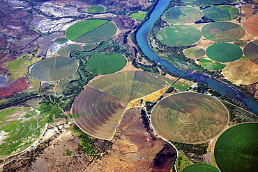 Circular fields on the Orange River, irrigation of large areas in the Karoo Desert, Gariepdam, Free State Province, South Africa, Africa