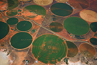 Circular fields on the Orange River, irrigation of large areas in the Karoo Desert, Gariepdam, Free State Province, South Africa, Africa