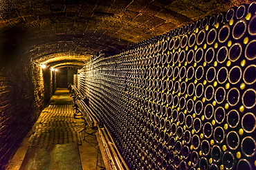 Wine cellar, Cavas de Bohigas, Catalonia, Spain, Europe