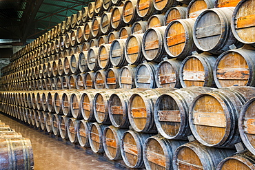 Wine barrels, Bacalhoa Winery, Azeitao, Setubal Peninsula, Portugal, Europe