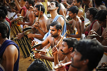 Musicians at Hindu temple festival, Thrissur, Kerala, South India, India, Asia