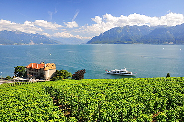 Views over the vineyards with Chateau de Glerolles and Lake Geneva towards the Swiss Rhone Valley, Saint-Saphorin, Lavaux, Canton of Vaud, Switzerland, Europe