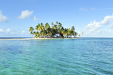 Tropical island with palm trees, Cayos Los Grullos, Mamartupo, San Blas Islands, Panama, Central America