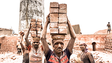 Workers with bricks on their heads in the brickyard, Dhaka, Bangladesh, Asia