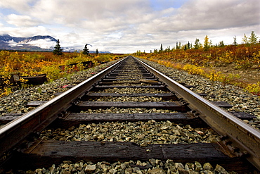 Railroad track, Fairbanks, Alaska, USA, North America