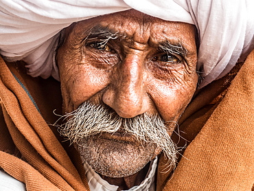 Portrait of an old man with turban and moustache, Ranthambore, Rajasthan, India, Asia