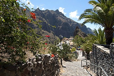 The mountain village of Masca, Teneriffe, Canary Islands, Spain, Europe