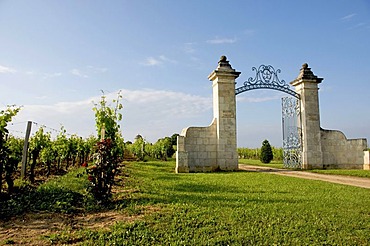 Entrance of a Saint-Emilion vineyard, Gironde, France, Europe