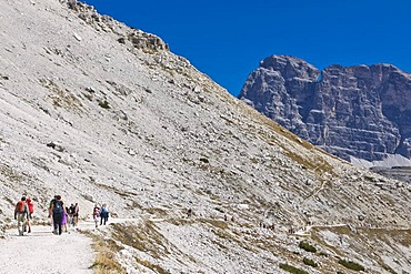 Tre Cime di Lavaredo, Three Peaks Trail, Dolomites, Italy, Europe