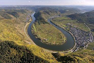 Aerial view, loop of the Moselle River near Bremm, Cochem-Zell, Eifel mountain range, Rhineland-Palatinate, Germany, Europe